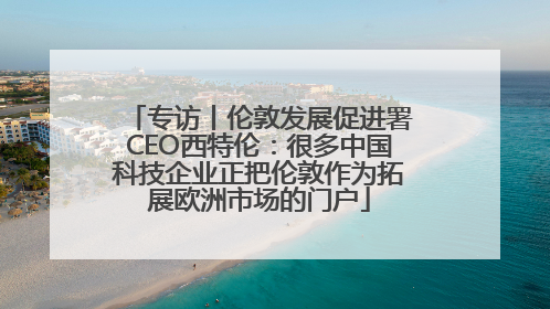 专访丨伦敦发展促进署CEO西特伦：很多中国科技企业正把伦敦作为拓展欧洲市场的门户
